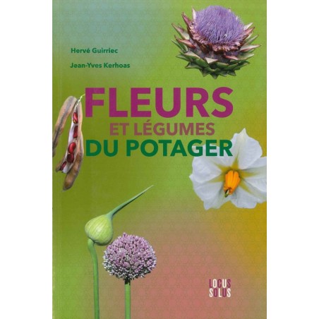 Fleurs et légumes du potager