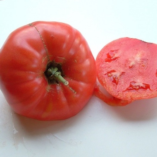 Tomate Rose de Berne