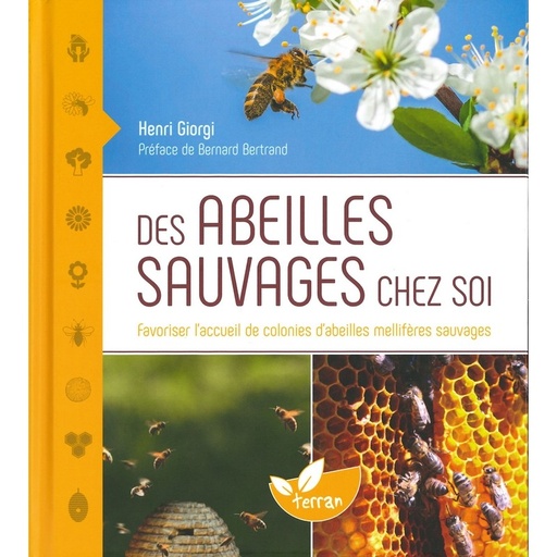 Des abeilles sauvages chez soi