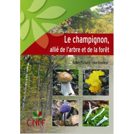 Le champignon allié de l'arbre et de la forêt