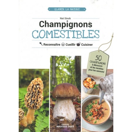 Champignons comestibles