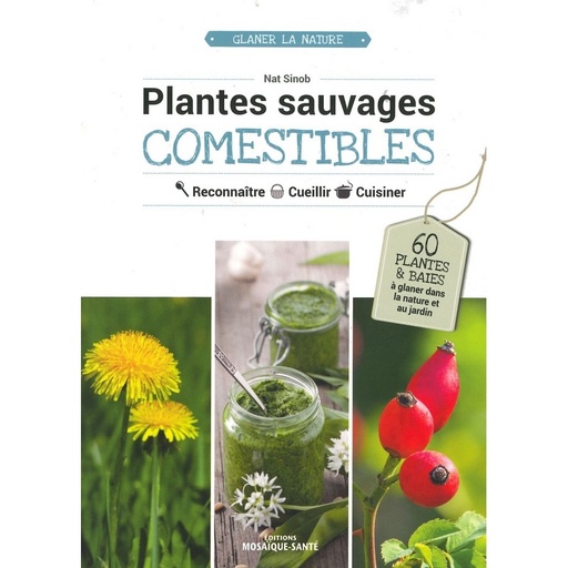 Plantes sauvages comestibles