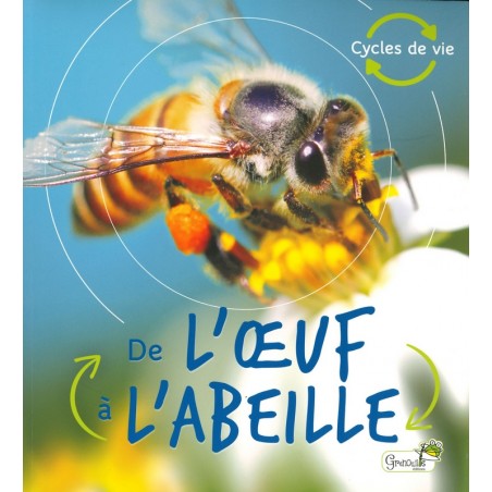 De l'oeuf à l'abeille