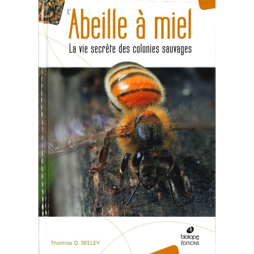 Abeille à miel