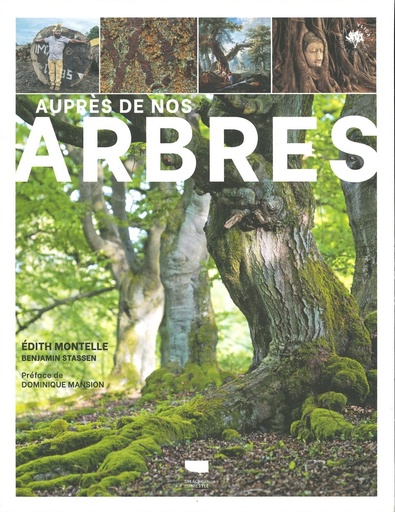 Auprès de nos arbres