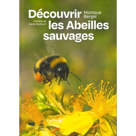 Découvrir les abeilles sauvages