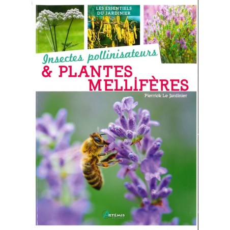 Insectes pollinisateurs et plantes mellifères