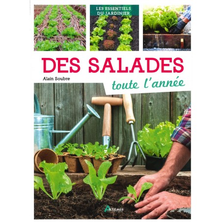 Des salades toute l'année - Artémis