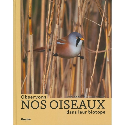 Observons nos oiseaux dans leur biotope