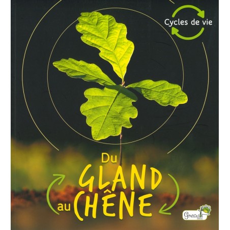 Du gland au chêne