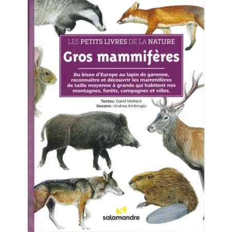 Gros mammifères les petits livres de la nature