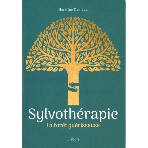 Sylvothérapie la forêt guérisseuse