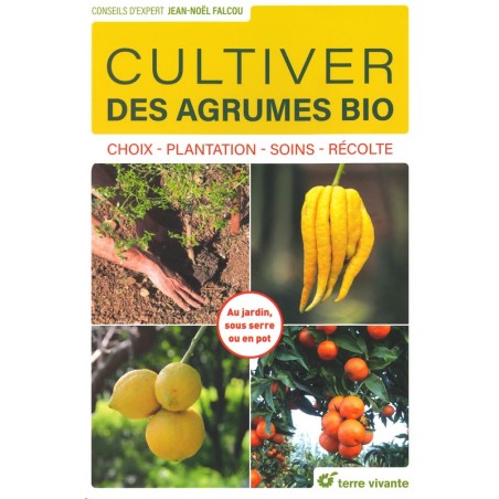 Cultiver des agrumes bio