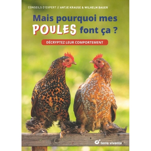 Mais pourquoi mes poules font ça?