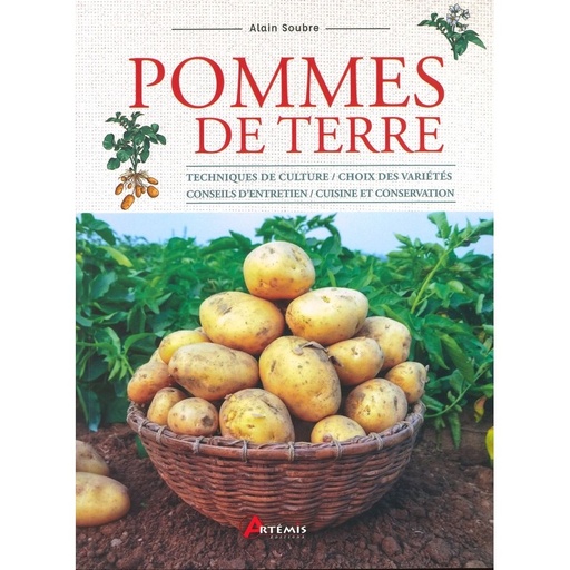 Pommes de terre