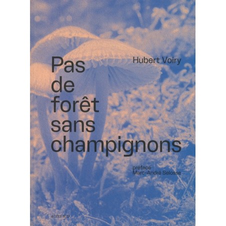 Pas de forêt sans champignons