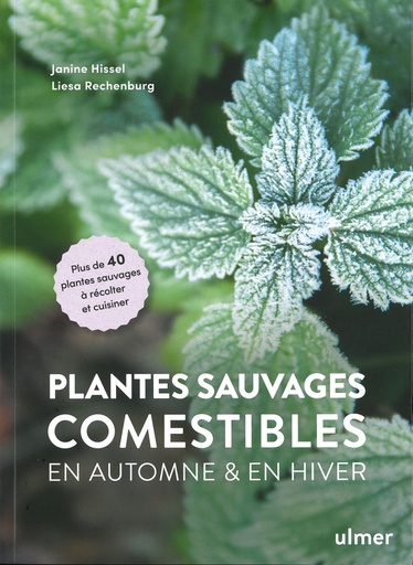 Plantes sauvages comestibles en automne et en hiver