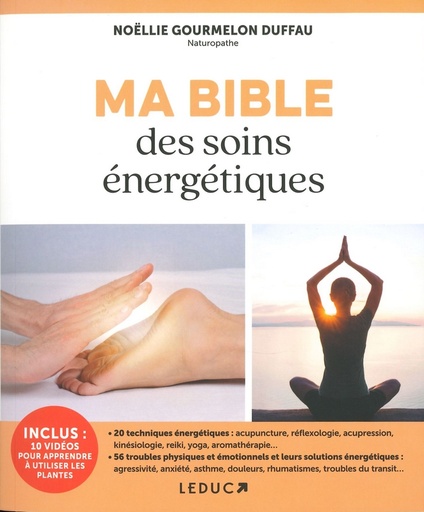 Ma bible des soins énergétiques