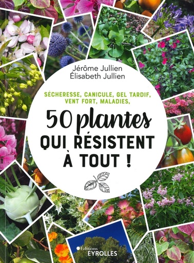 50 plantes qui résistent à tout!