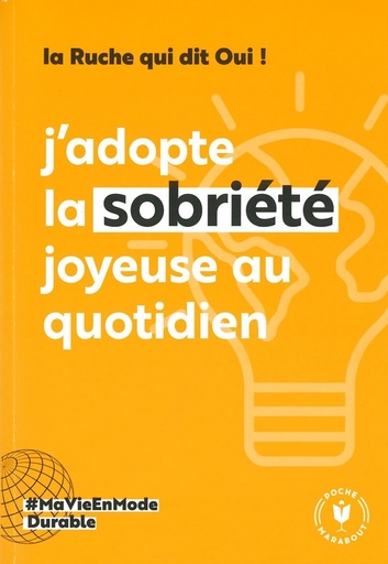 J'adopte la sobriété joyeuse au quotidien - épuisé