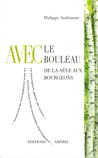 Avec le bouleau