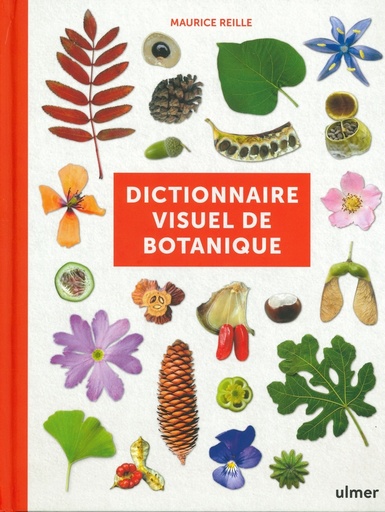Dictionnaire visuel de botanique