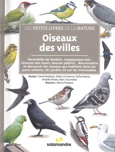 Oiseaux des villes les petits livres de la nature