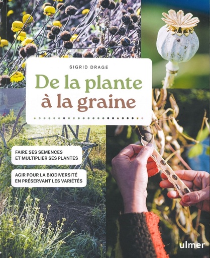 De la plante à la graine