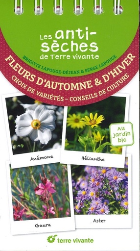 Les anti-sèches fleurs d'automne & d'hiver