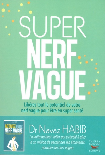 Super nerf vague
