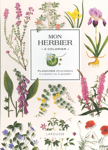 Mon herbier à colorier