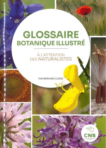 Glossaire botanique illustré