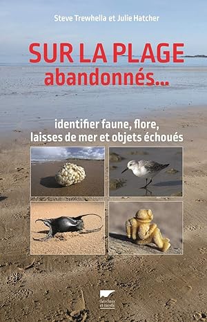 Sur la plage abandonnés