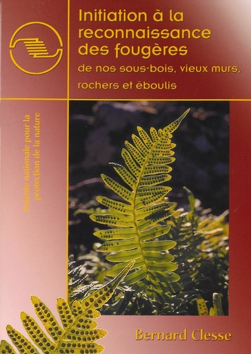 Initiation à la reconnaissance des fougères