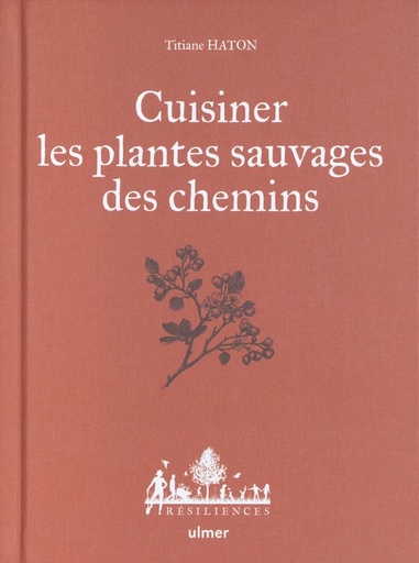 Cuisiner les plantes sauvages des chemins