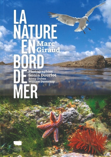 La nature en bord de mer