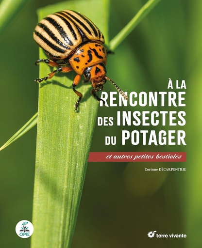 A la rencontre des insectes du potager