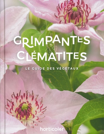 Grimpantes & clématites