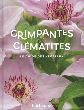 Grimpantes et clématites