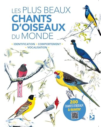 Plus beaux chants d'oiseaux