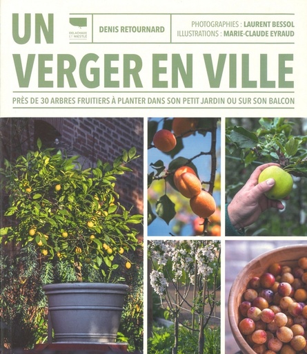 Un verger en ville