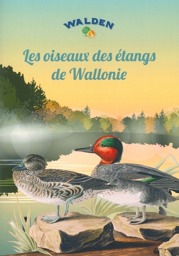 Les oiseaux des étangs de Wallonie
