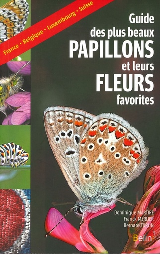 Guide des plus beaux papillons et leurs fleurs favorites