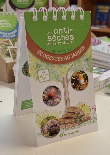 Les anti-sèches écogestes au jardin