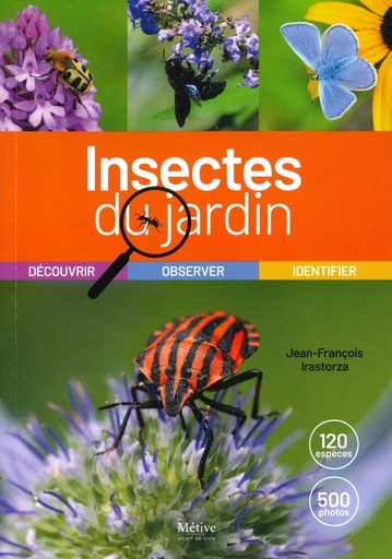 Insectes du jardin
