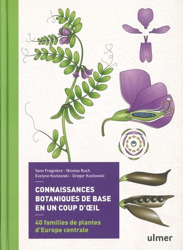 Connaissances botaniques de base en un coup d'oeil