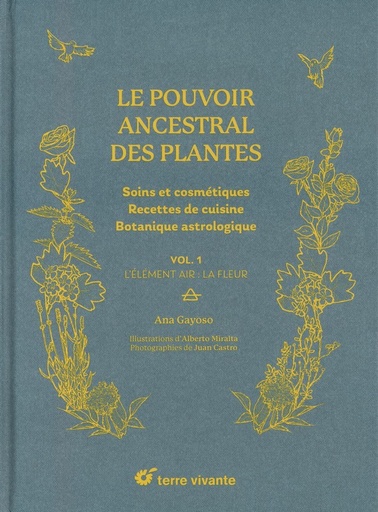 Le pouvoir ancestral des plantes