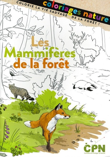 Mammifères de la forêt - coloriages nature