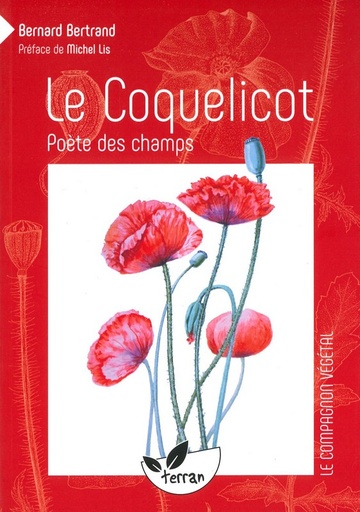 Le coquelicot poète des champs