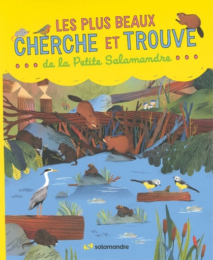 Les plus beaux cherche et trouve... de la petite Salamandre...